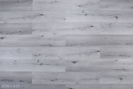 Дуб Гент 10-064