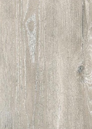 Ясень серый 504466000