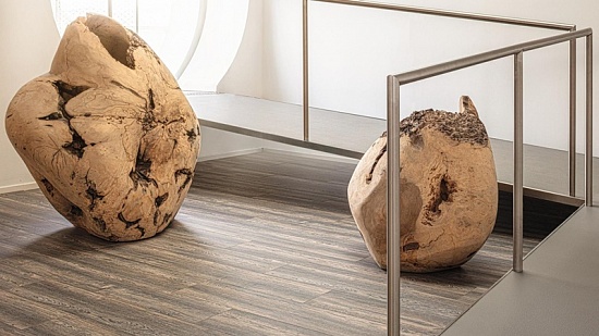 Дуб SMOKESTYLE K2219 EG