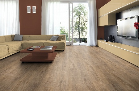 Дуб Трентино D3478