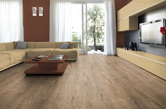 Дуб Трентино D3478