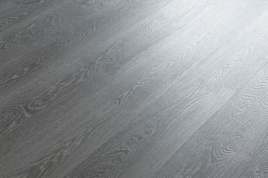 NOX-2053 Дуб Берген