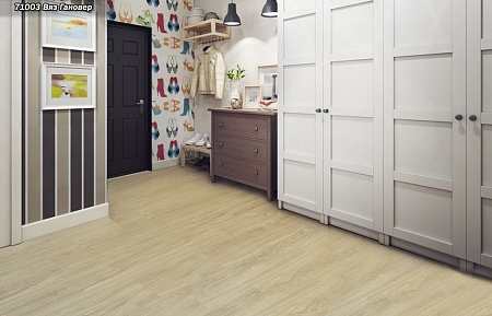 Вяз Гановер 71003