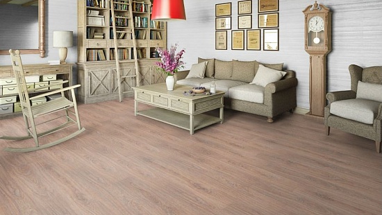 Дуб ТАНГО светлый 504023051