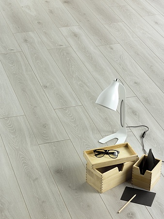 Дуб Серый О448