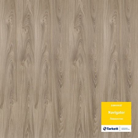 Ливингстон 504415038