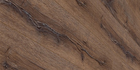 Дуб Монастырский 5165