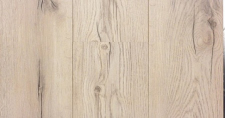 Дуб весенний 04491