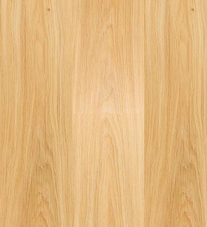 Корсар 504426000