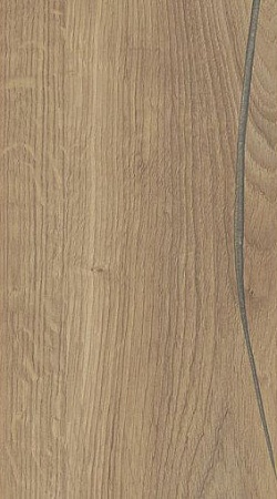 Дуб Эльдорадо 4287