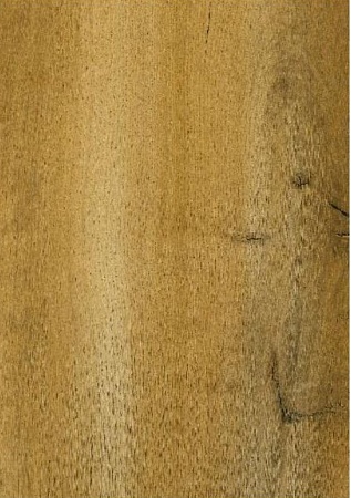 Дуб коричневый 504466003