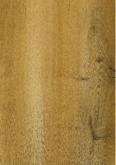 Дуб коричневый 504466003