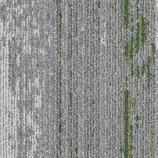 Disruptive Path 916