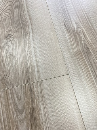 Дуб Бастион