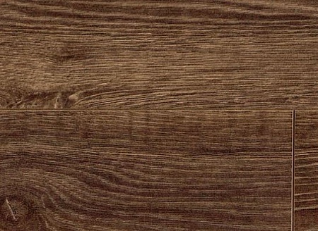 Дуб Посейдон D 3752