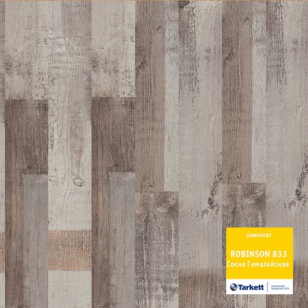 Сосна Гималайская 504035075