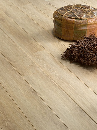 Дуб Виктория C162