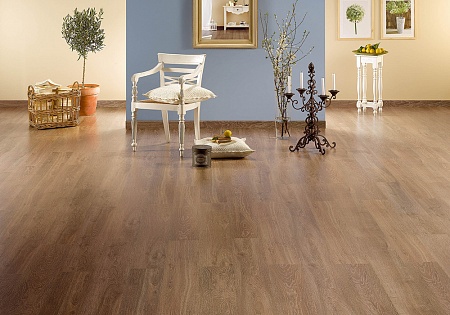 Дуб Испанский О401