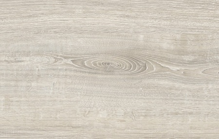 Дуб сердания D2080