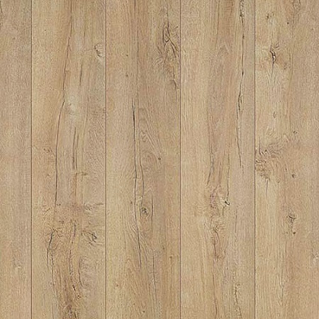 Дуб Данвиль желтый 504015056