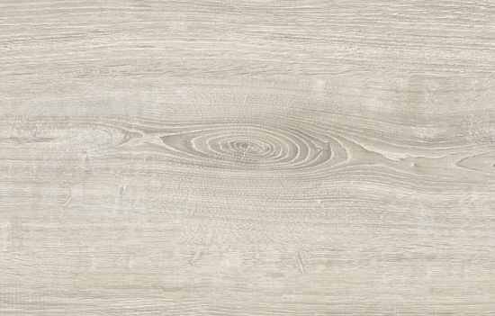 Дуб сердания D2080