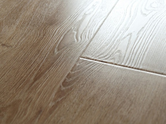 Дуб Манифик 12156