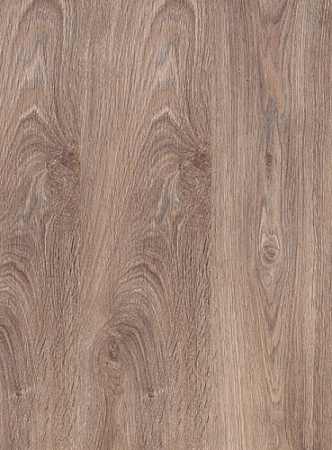 Дуб одеон классический 
504002043