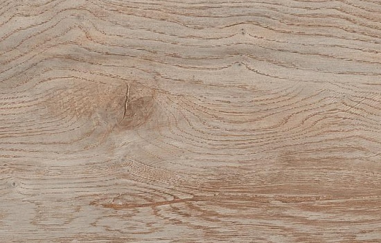 Дуб Свобода D1818