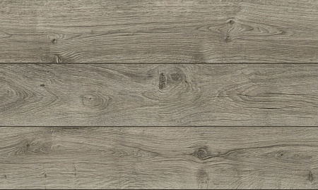 Дуб Копенгаген 04421