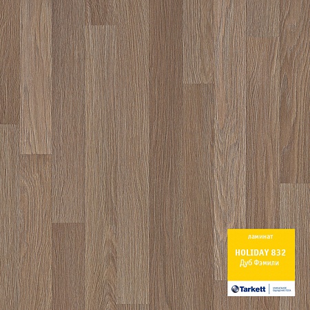 Дуб фэмили 504022050