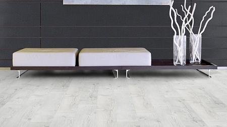 Хэмлок Онтарио 34053 SZ