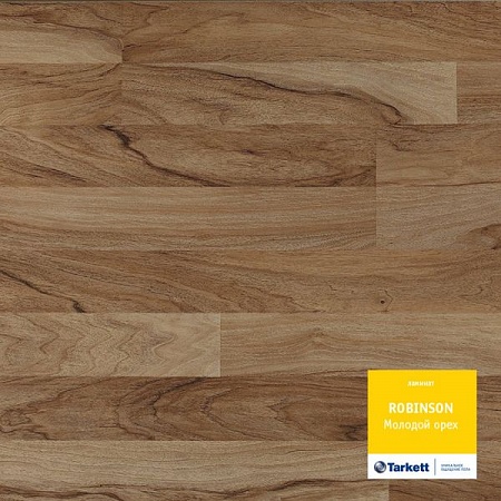 Молодой орех 504035082