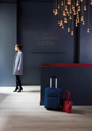 Елисейские поля 8541