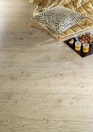 Сосна Беленая F122