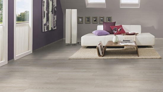 Дуб Рейкьявик 4282