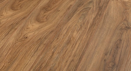 D 3305 Дуб Нике