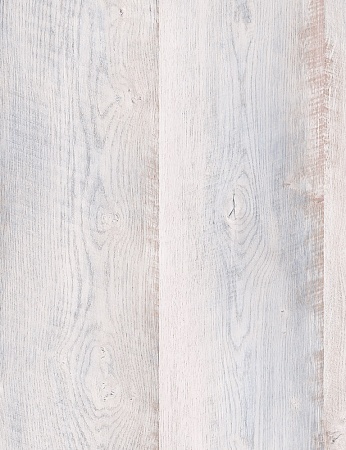 Дуб Балатон FP852