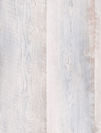 Дуб Балатон FP852