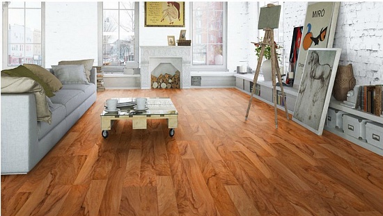 Молодой орех 504035082