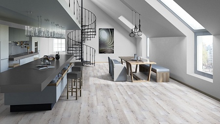 Ель альпийская 504035077