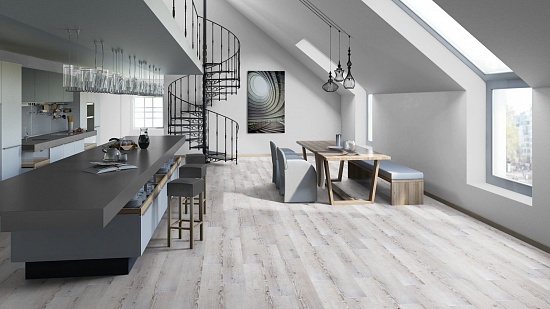 Ель альпийская 504035077