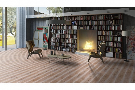 Дуб Небраска 504035076