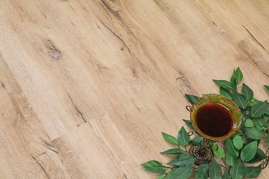 Дуб Мале FF-2069