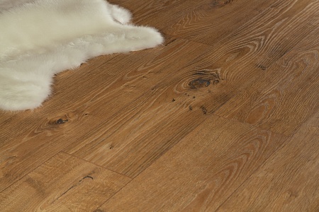 Дуб Мамре D 4909