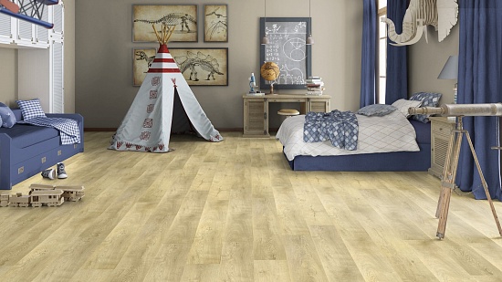 Дуб Осорно 504016047