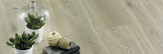 Дуб Невада О449