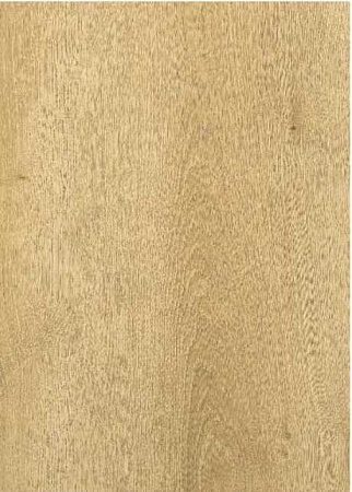 Дуб бежевый 504464005