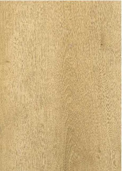 Дуб бежевый 504464005