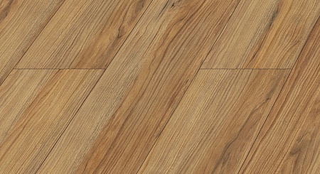 D 1035 Дуб древний