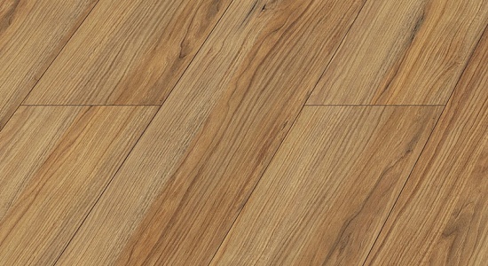 D 1035 Дуб древний